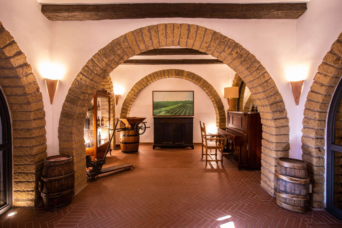 Wine Archaeology at Villa Matilde Wine Archaeology at Villa Matilde